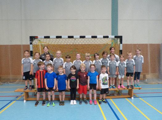 SGH-Handball-Minis